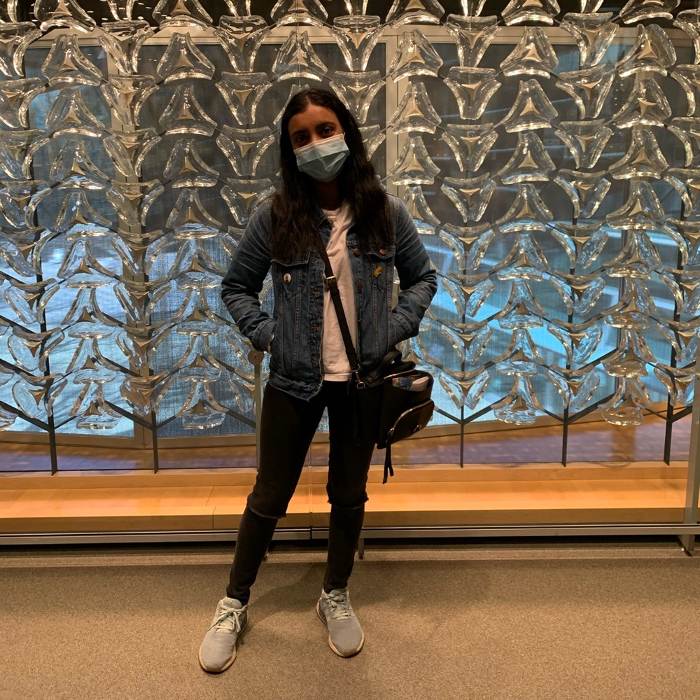 Meet your Posher, Krish